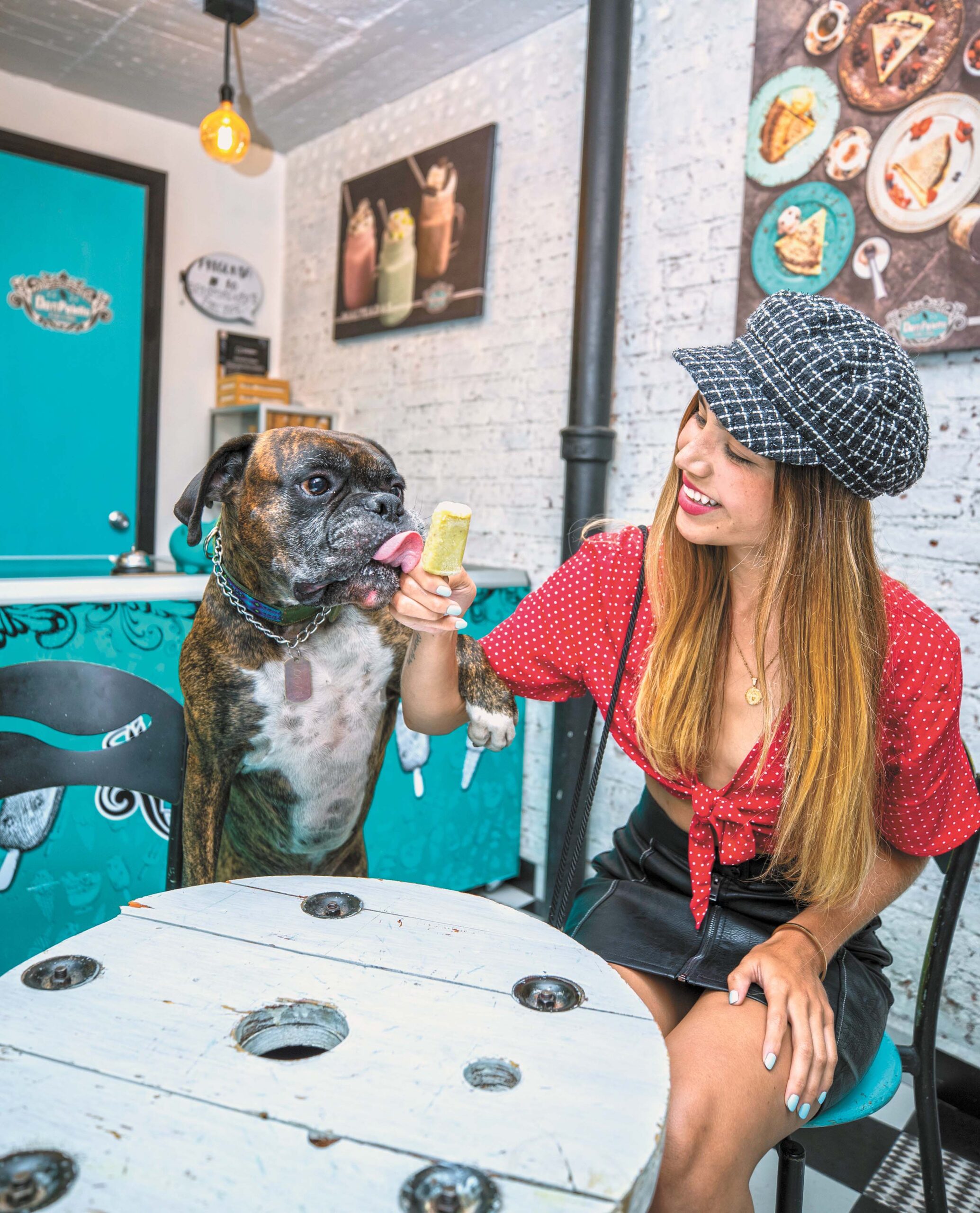 55. El auge de las reposterías caninas